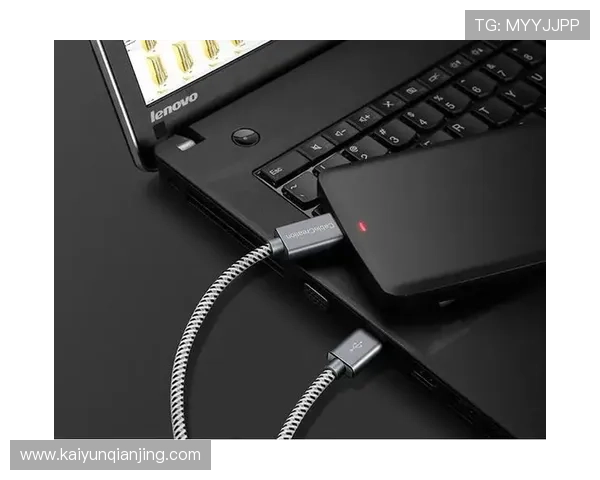 开云网址登录线路保障安全稳定，畅享高速访问体验攻略