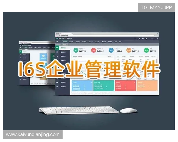 开云网站登录入口最新版本更新内容，体验更流畅的登录服务