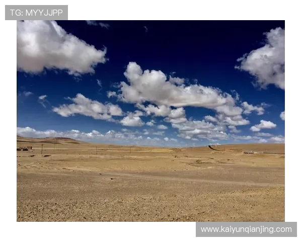 开云平台官网购物流程详解，从浏览商品到完成支付的每一步操作指南