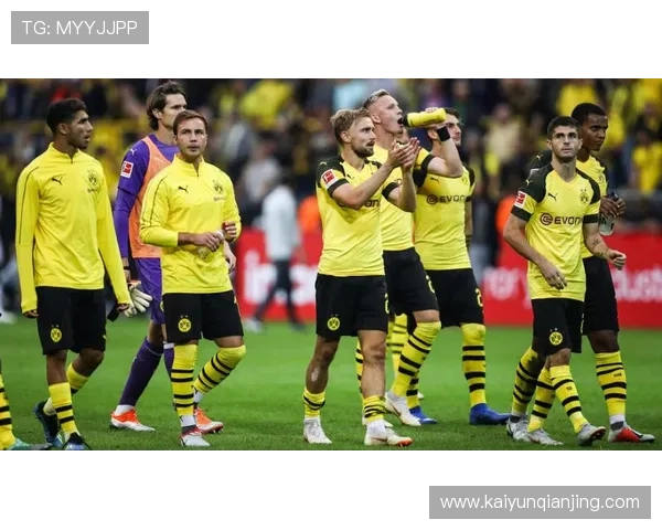 开云官网体育赛事数据分析与实时比分更新服务介绍