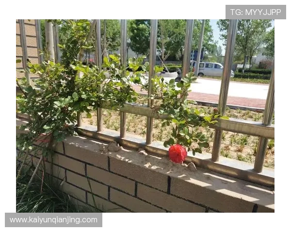 开云体育注册游戏常见问题解答，解决新用户在注册过程中遇到的各种疑问