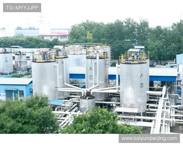 新手必看:开云在线登录步骤详解与提示 新手必看:开云在线登录步骤详解与提示